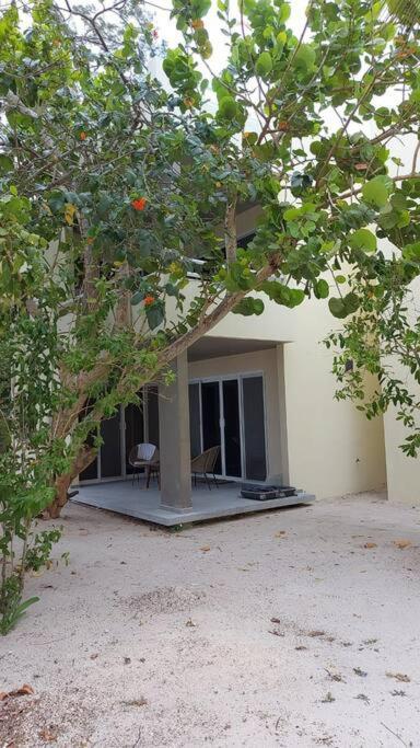 Marysol Great Views Beachfront Next To Nomads D3 Isla Mujeres Exterior foto